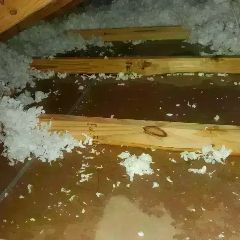 Attic Water Damage in Lehi, UT