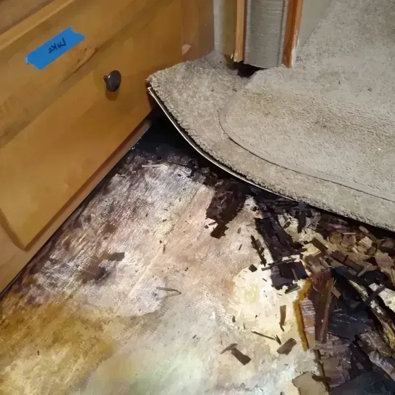 Best Wood Floor Water Damage Service in Lehi, UT